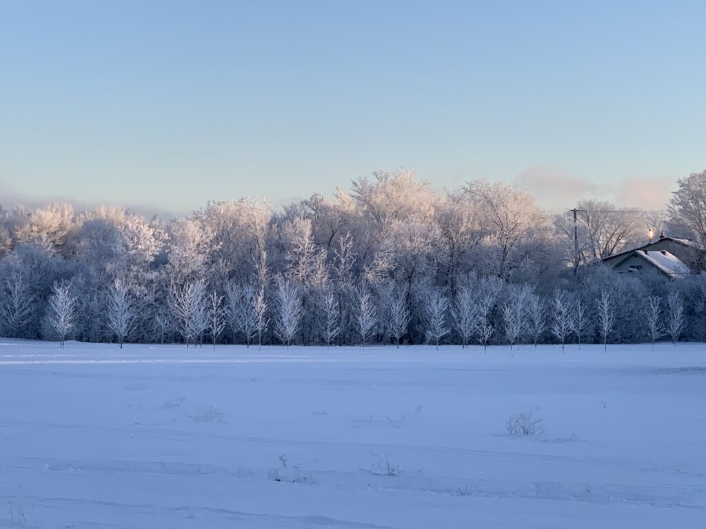 winter ,ottawa